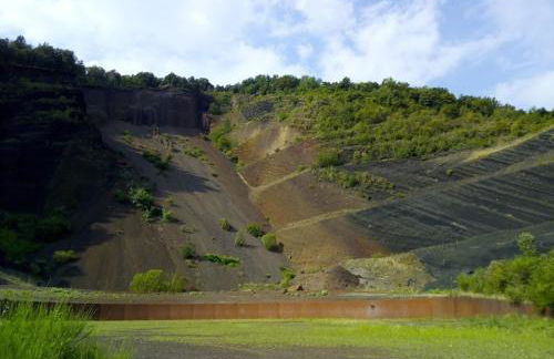 Espectacular Casa Chateau en el centro de Olot - Foto 37