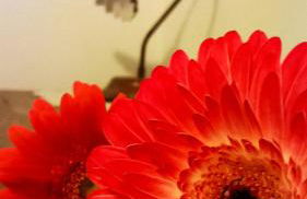 Agriturismo Rossococomero OFFERTA FEBBRAIO! - Foto 21