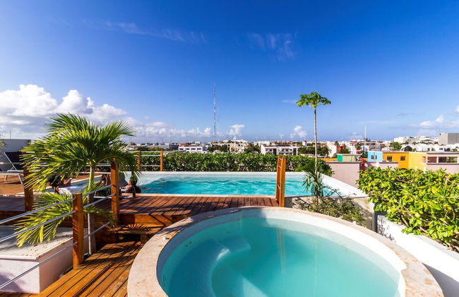 La Papaya Plus 303 by Vimex - Foto 15