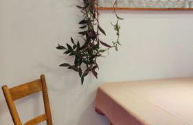 Abendsonne - Foto 13