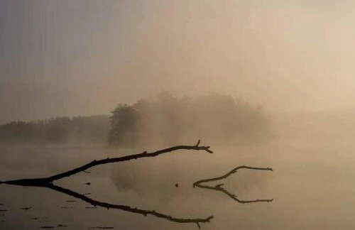 Siedlisko MiłoBrzózka - Photo 12