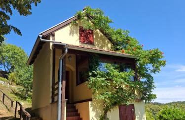 Agroturizam Na Malenom brijegu BAKINA VIKENDICA - Foto 1