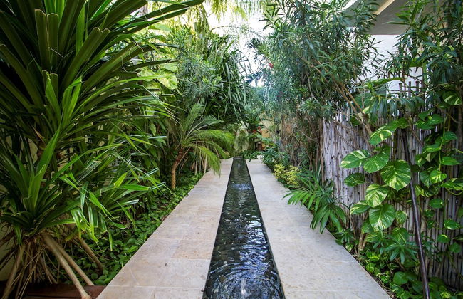 La Papaya Plus 303 by Vimex - Foto 18