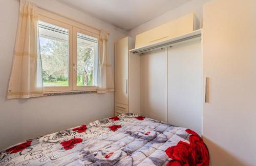 Open Space nel Sulcis - Foto 5