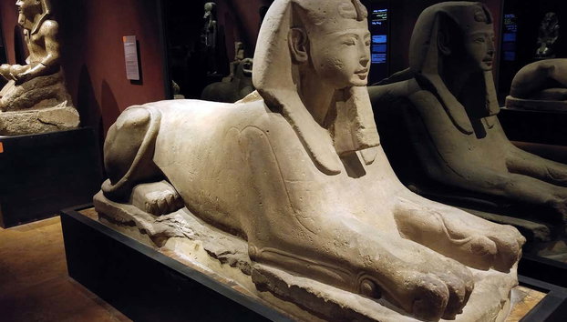 Visita guidata al Museo Egizio di Torino - Foto 3