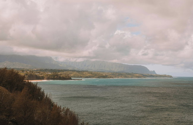 Kauai Plantation Hale Hotel - Foto 103