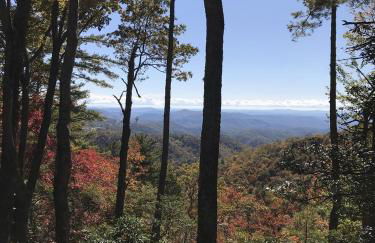 Ridgecrest A Unique Rustic Cabin in Blowing Rock NC - Foto 15