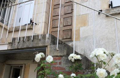 Sancerre Sunflower - Tournesol de Sancerre - Foto 7