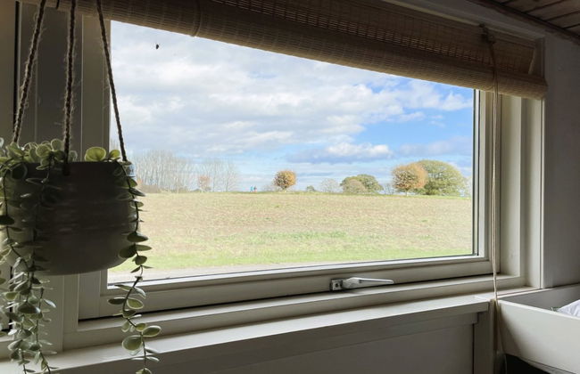 "Dana" - 525m from the sea - Foto 61