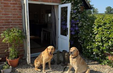 Meadow Hayes Studio - Foto 16