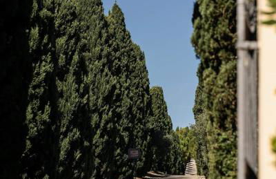 Tenuta Querce Grosse- Le Dimore - Foto 55