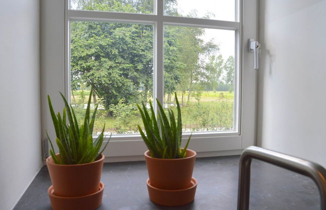 Swolgen Estate With Sauna - Photo 34