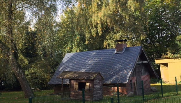 Ferienwohnung Tante Lise - Foto 2, Profilbild