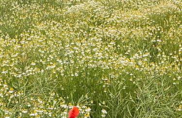 Appartementhof Stadler - Foto 36