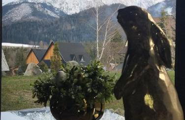 TATRA HOMES domek z jacuzzi - Foto 28