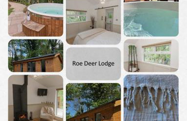 Roe Deer Lodge with Wood-Fired Hot Tub - Alum House Litlebeck, Whitby - Foto 19