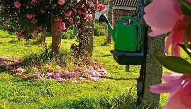 Chalet Abelleira - Photo 2, Garden, Garden view