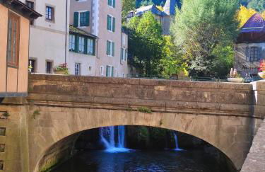 Grand appartement de charme avec parking privé - Foto 28