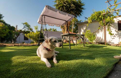 Aspa's House - Foto 43