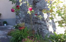 Appartamenti Raineri - Foto 19