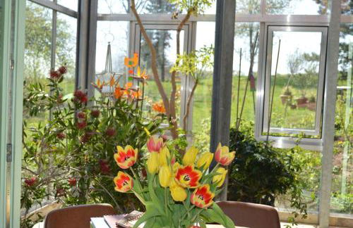 Glashaus Andres Fünf-Sterne-Ferienhaus - Foto 7