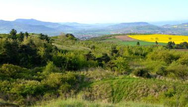 Maison du vigneron Saint-Martin - Foto 2