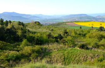 Maison du vigneron Saint-Martin - Foto 2