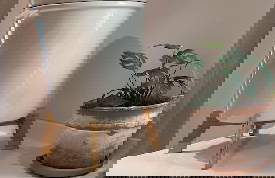 Depto privado en ubicación privilegiada - Foto 11