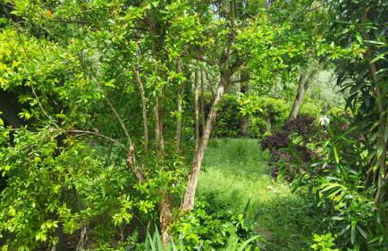 Private house - Photo 19