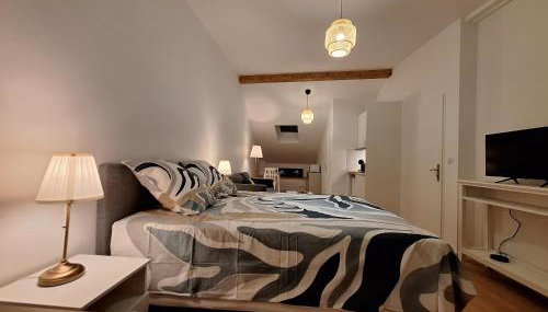 Studio 1 rénové lit queen size balcon garage - Foto 4