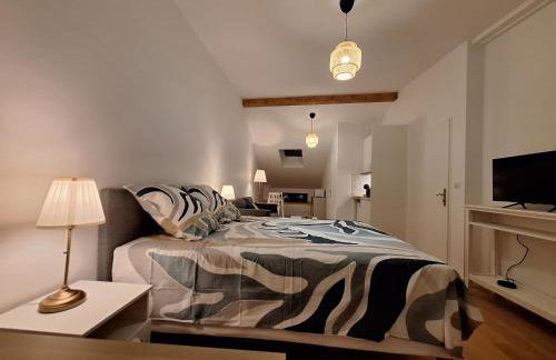 Studio 1 rénové lit queen size balcon garage - Foto 4