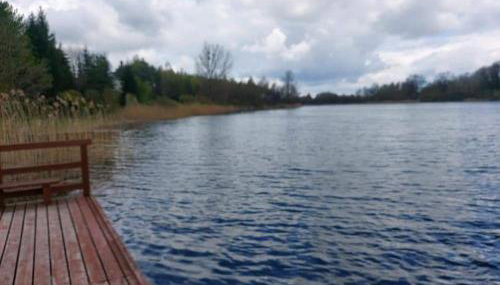 zakątek pod świerkami - Foto 2