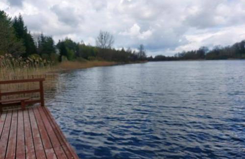 zakątek pod świerkami - Foto 2