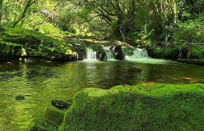 Molino de Yera - Foto 64