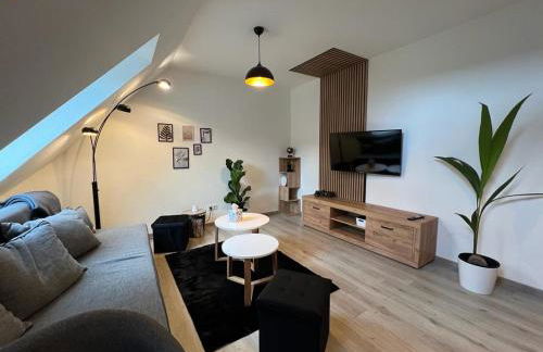 Top of Hostel & Serviced Aparts Deluxe Maisonette-Apart Fürth - Foto 3