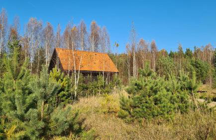 Zakole Czarnej Hańczy - Foto 73
