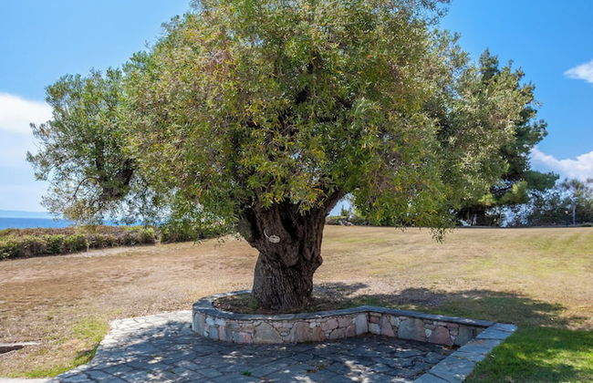 Alterra Vita Captain's Cabin - Photo 26