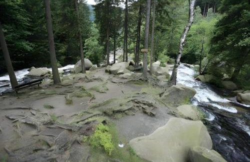 Fewo Harzblick Goslar mit Pool - Foto 23