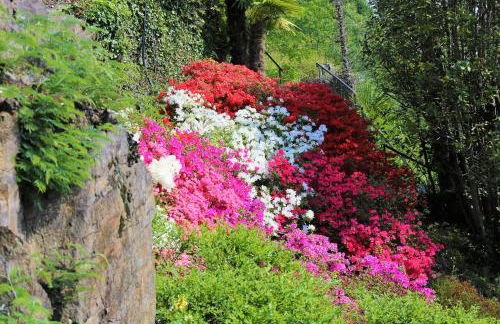 Appartamenti Ferrari Residence - Foto 46