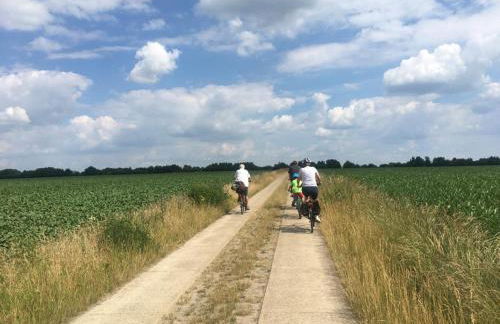 Sonnenschein - Foto 23