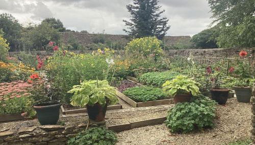 Barn End a spacious cottage set in mature grounds - Foto 5, Garden, Garden view