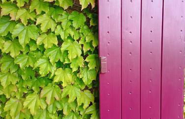 Casa MarJù - Foto 18