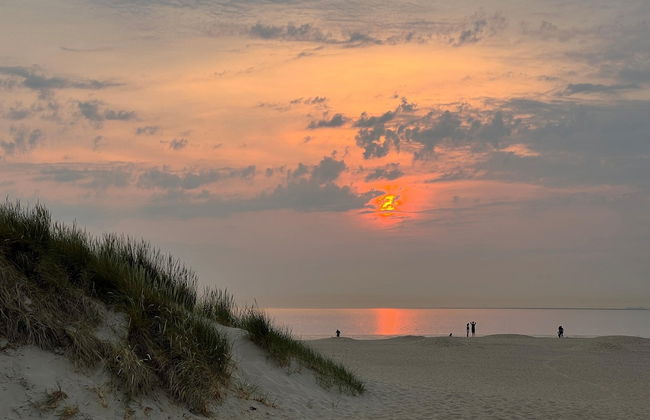 Romantic Studio in Stellendam With Terrace - Foto 34