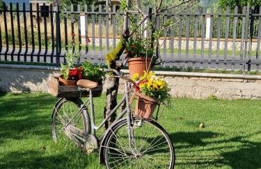 Relax in campagna - Aquino - Photo 18