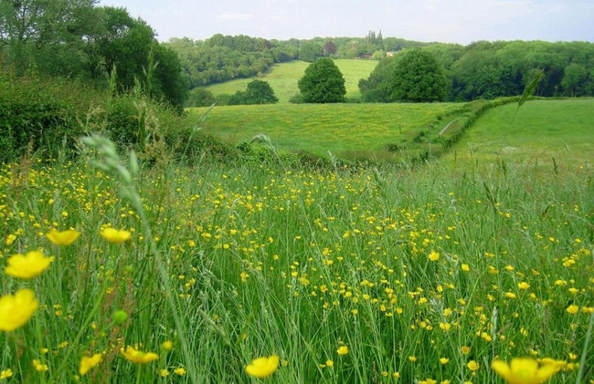 Special Lodge With Great View, Near Maastricht - Foto 30