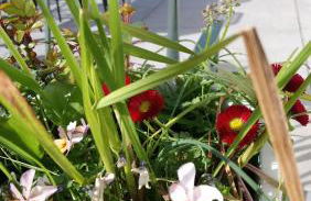 Maison familiale à 10 min du Mont Saint Michel - Foto 20