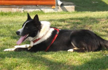 House Luna - Foto 35