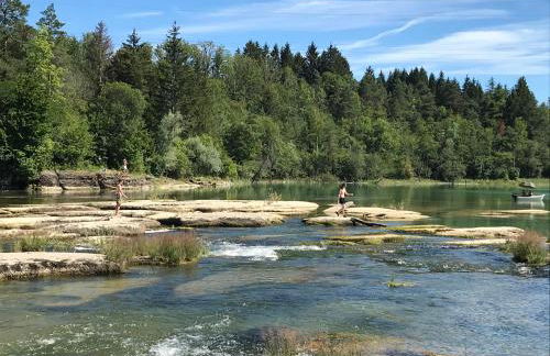 Les 4 gites de la Saisse - Foto 1