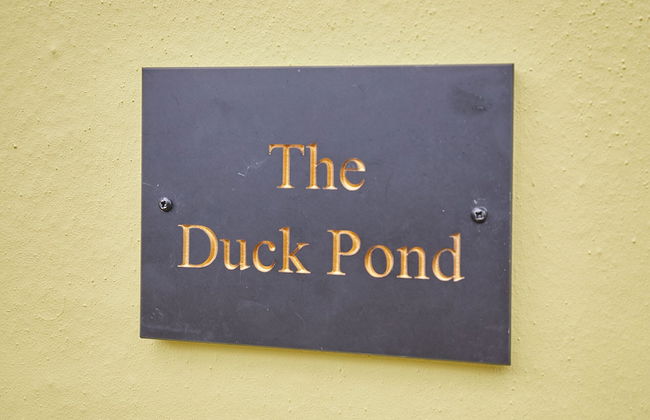 Host Stay The Duck Pond - Foto 18