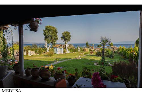 Medusa Gorgon - Photo 41